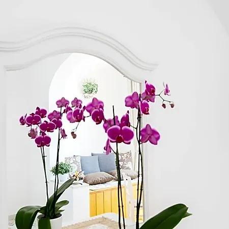 Bed & Breakfast La Borragine